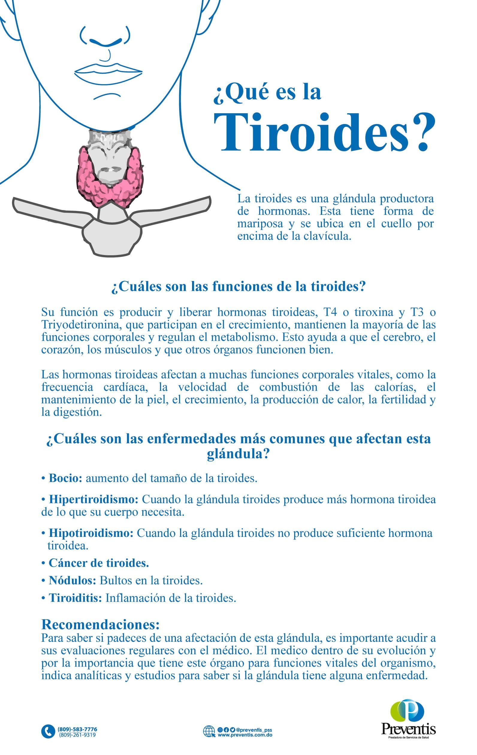 ¿Qué son la Tiroides?