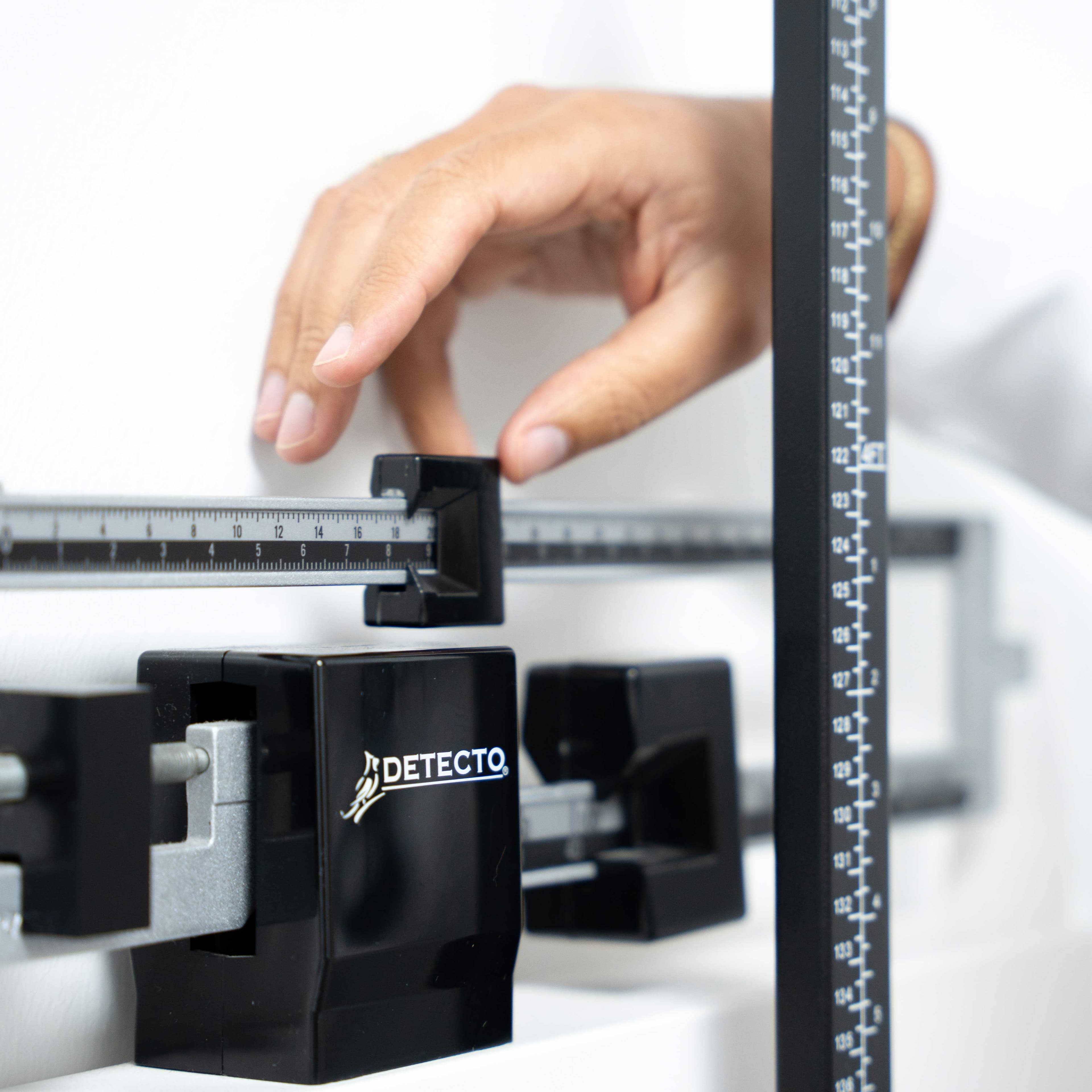 Acerca de la especialidad